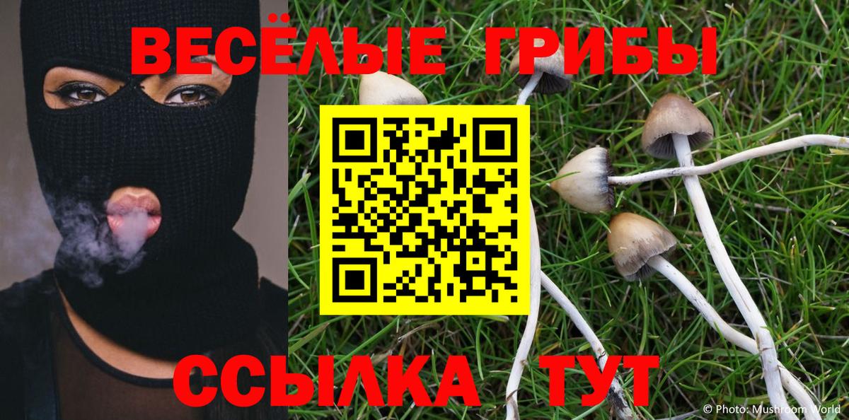 Губкин  Псилоцибиновые грибы ЛСД  Псилоцибиновые грибы прущие грибы  Вход с VPN 