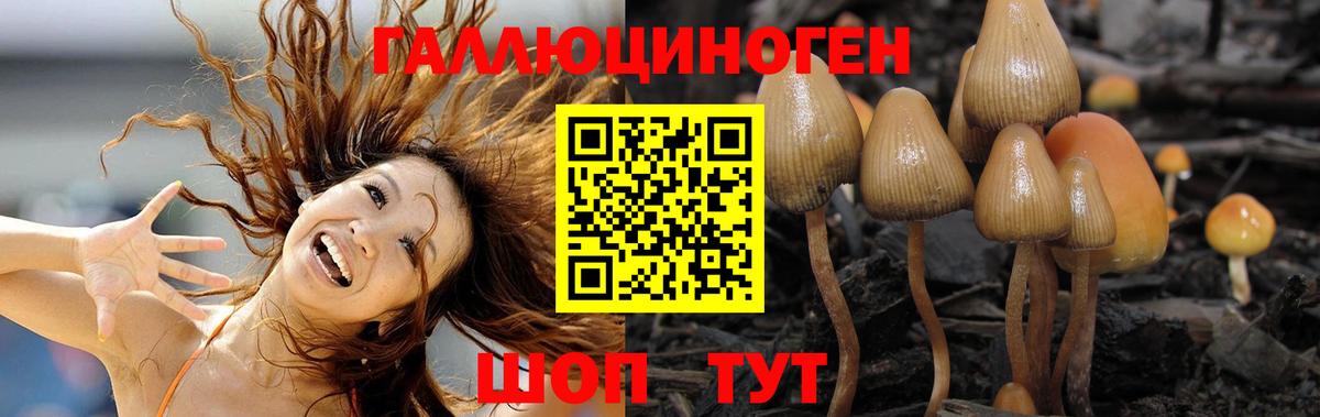 Галлюциногенные грибы Cubensis Губкин